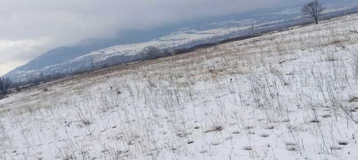 Land For Sale. Misaktsieli