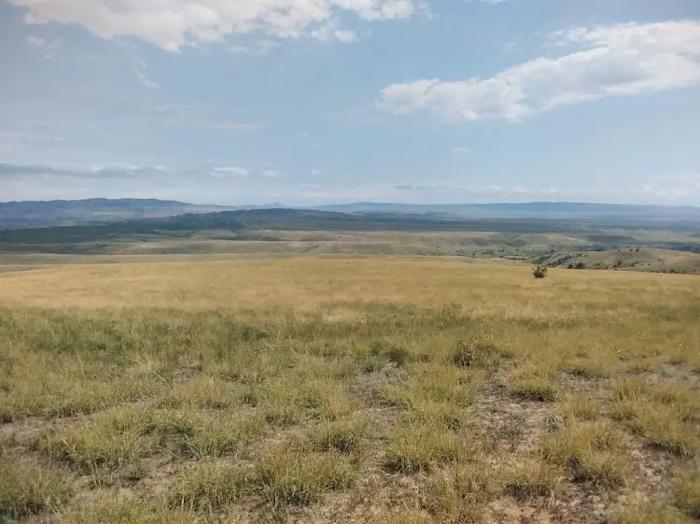 Land For Sale. Dedoplistskaro