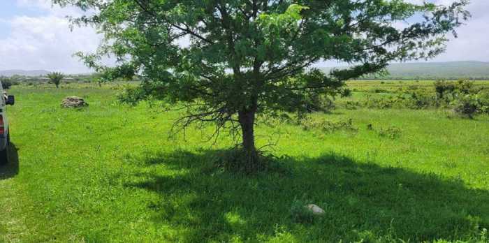 Land For Sale. Kisiskhevi