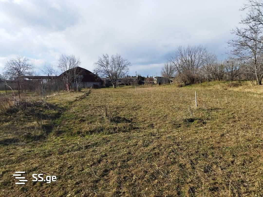 Продажа Store-Industrial Property в гардабани view 8