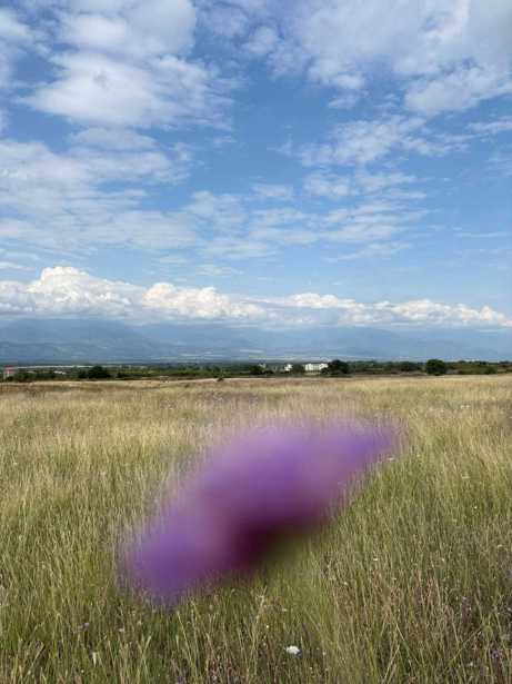 Land For Sale. Kisiskhevi