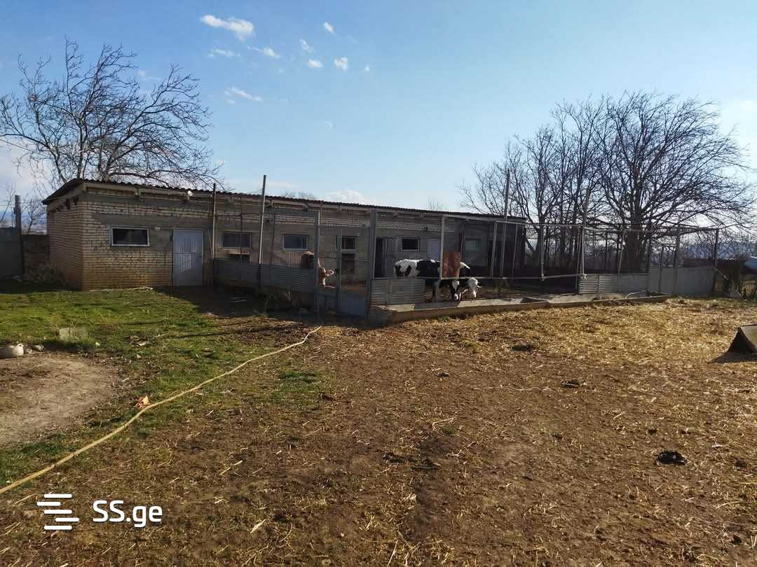 Продажа Store-Industrial Property в гардабани view 5