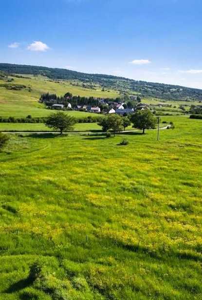 Land For Sale. Zemo Teleti