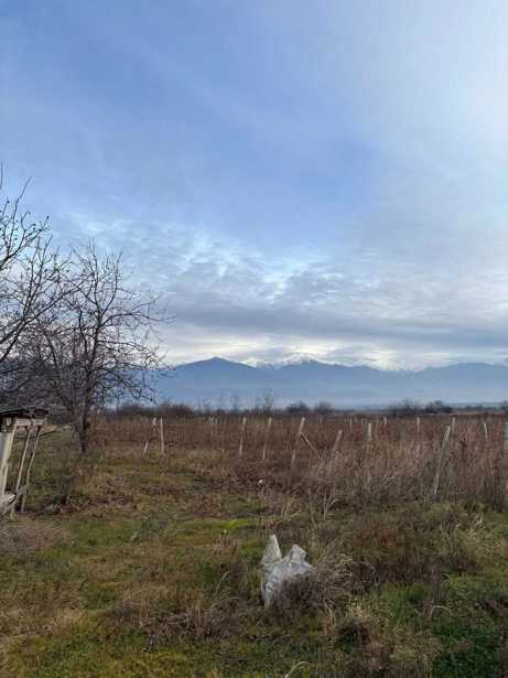 Land For Sale. Kurdghelauri