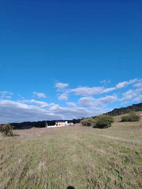 Land For Sale. Sakramulo