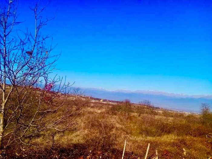 Land For Sale. Vardisubani