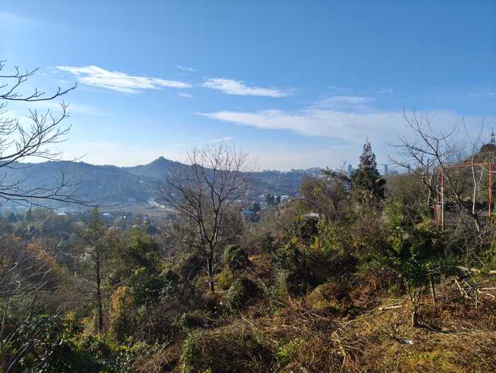 Land For Sale. Salibauri