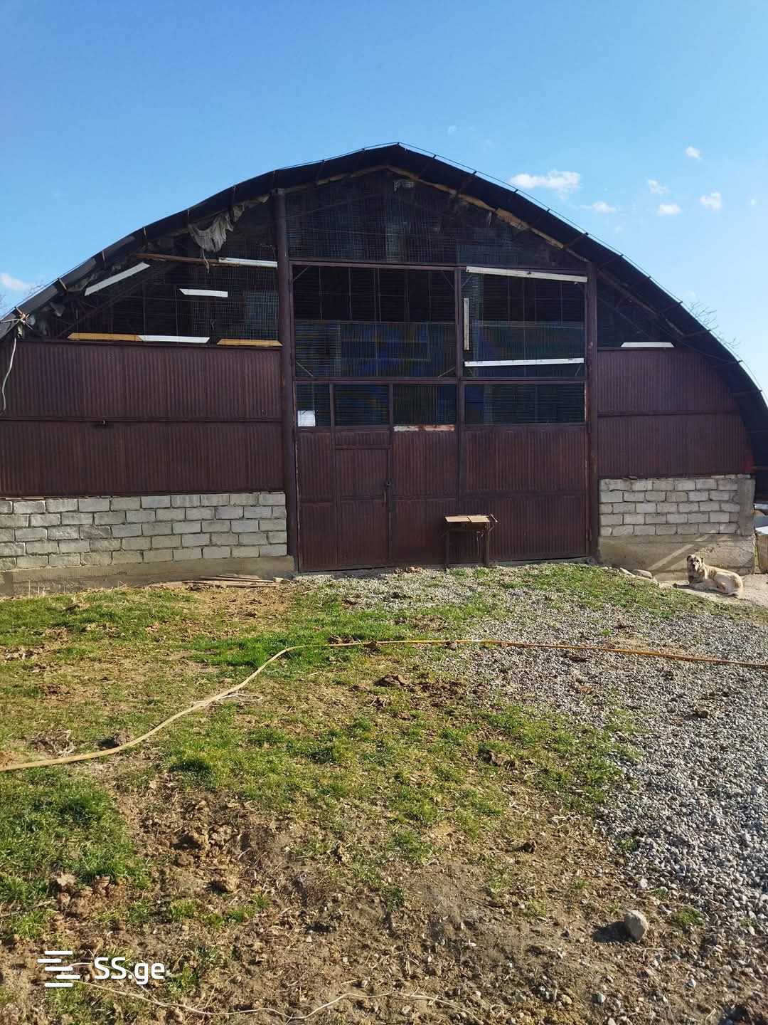 Продажа Store-Industrial Property в гардабани view 7