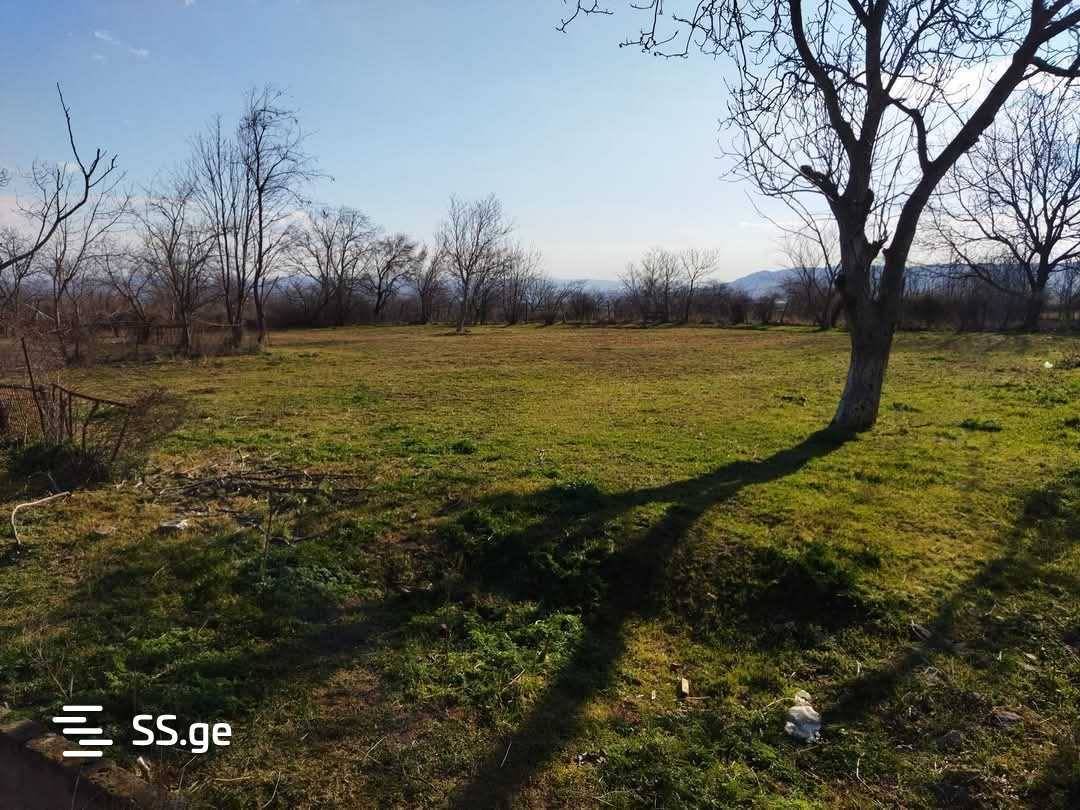 Продажа Store-Industrial Property в гардабани view 9