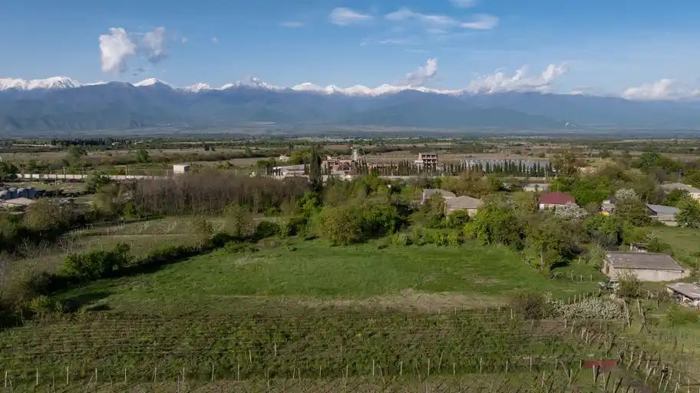 Land For Sale. Tsinandali