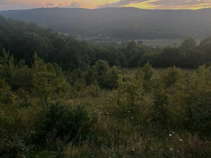 Land For Sale. Nikortsminda