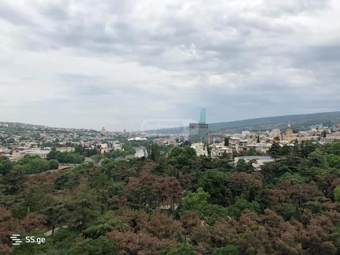 https://static.ss.ge/20260129/0_e19e0a33-8dd0-421c-a2d2-2d13512267d8_Thumb.jpg
