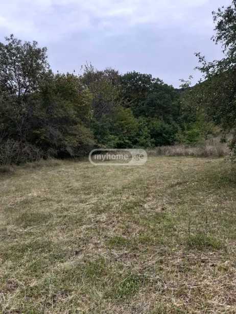 Land For Sale. Kveseti