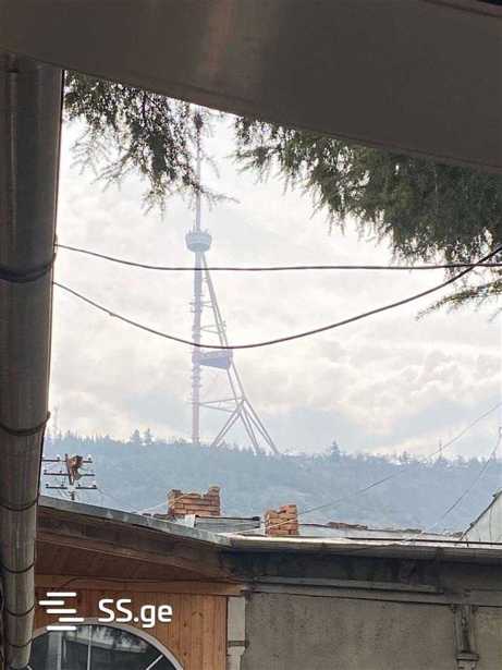 https://static.ss.ge/20260129/11_443260cb-a27c-4630-9c73-5b95cb32aeaa_Thumb.jpg
