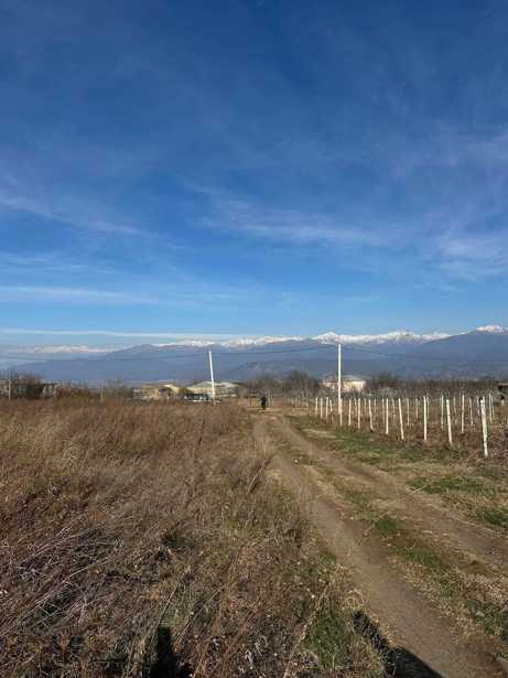 Land For Sale. Kisiskhevi