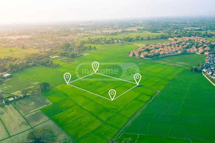 Land For Sale. Nukriani