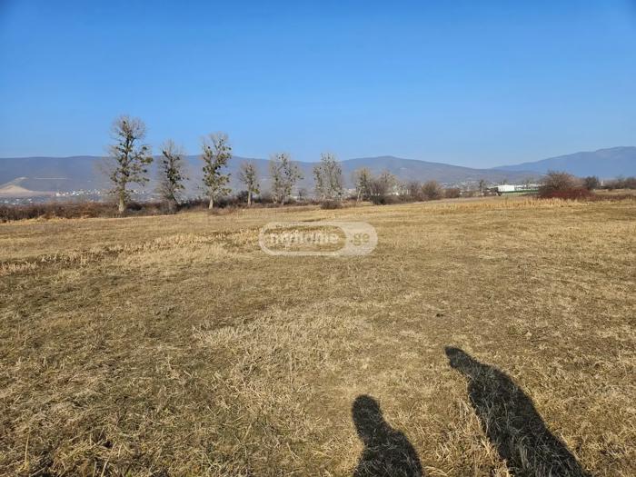 Land For Sale. Akhalubani