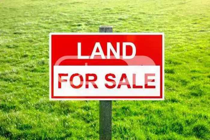 Land For Sale. Akhali Samgori