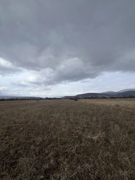 Land For Sale. Mtskheta