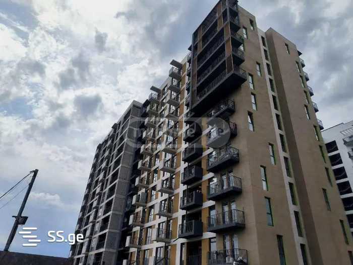 https://static.ss.ge/20260129/19_f6ffe9f7-8be9-45c6-ba1b-d96da2ce752b_Thumb.jpg