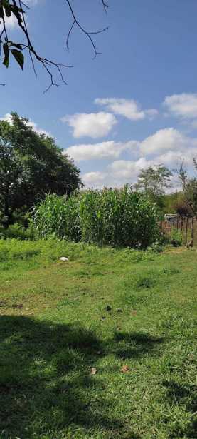 Land For Sale. Martvili
