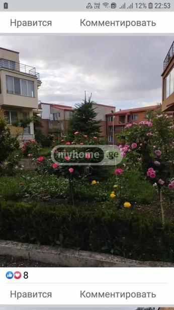 https://static.ss.ge/20260129/8_45d13625-a495-44e3-a1d1-8f7c1ca9e10f_Thumb.jpg