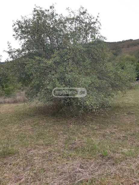 Land For Sale. Kveseti