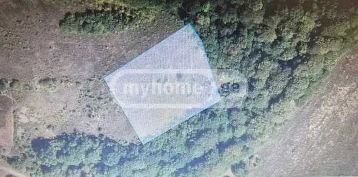 Land For Sale. Omaraani
