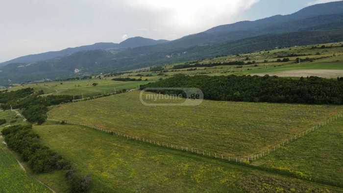 Land For Sale. Ertatsminda