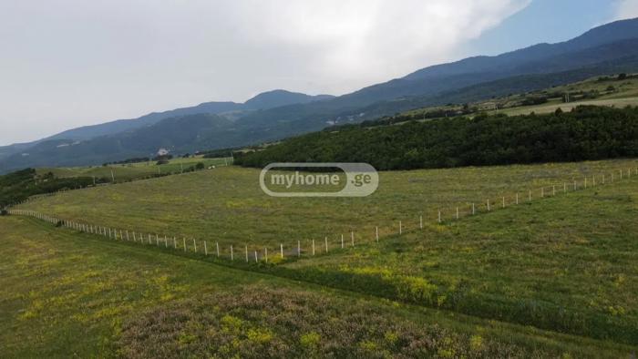 Land For Sale. Ertatsminda