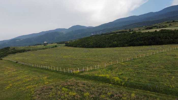 Land For Sale. Ertatsminda