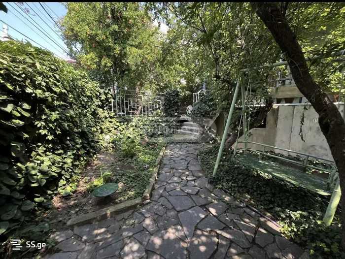 https://static.ss.ge/20260130/12_ac150793-06f6-4d9d-87b6-d0719d2c522e_Thumb.jpg