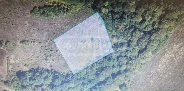 Land For Sale. Omaraani