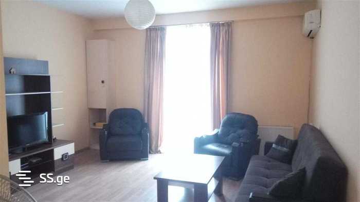 https://static.ss.ge/20260130/13_607a52e8-6387-412e-940f-34fd5c2bcad8_Thumb.jpg
