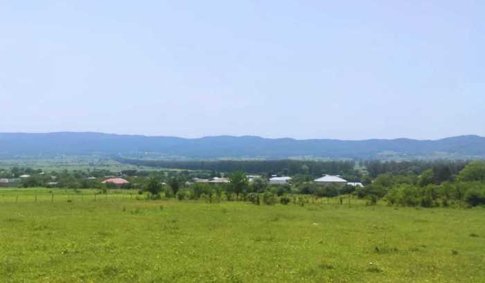 Land For Sale. Khevsurtsopeli