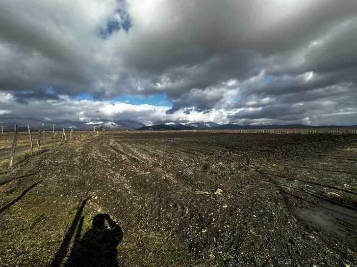 Land For Sale. Akhalsopeli