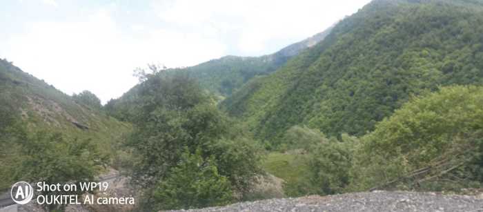 Private House For Sale. Pasanauri