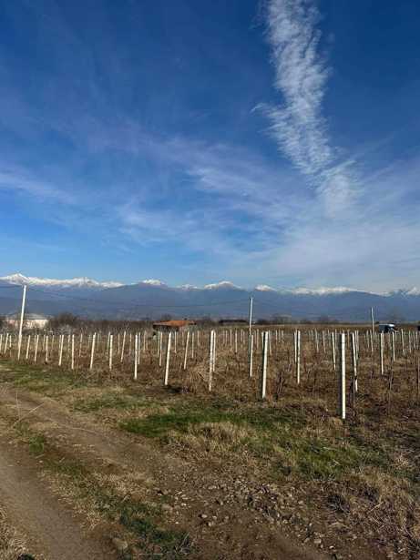 Land For Sale. Kisiskhevi