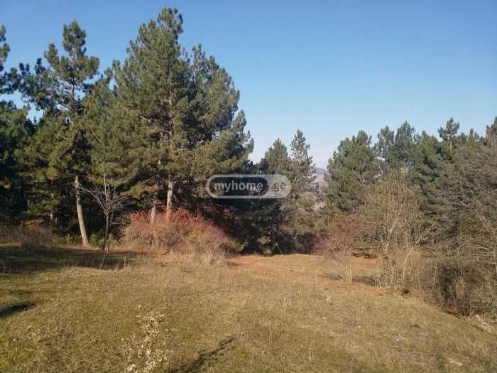 Land For Sale. Akhaldaba