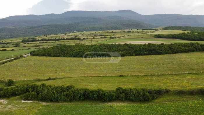 Land For Sale. Ertatsminda