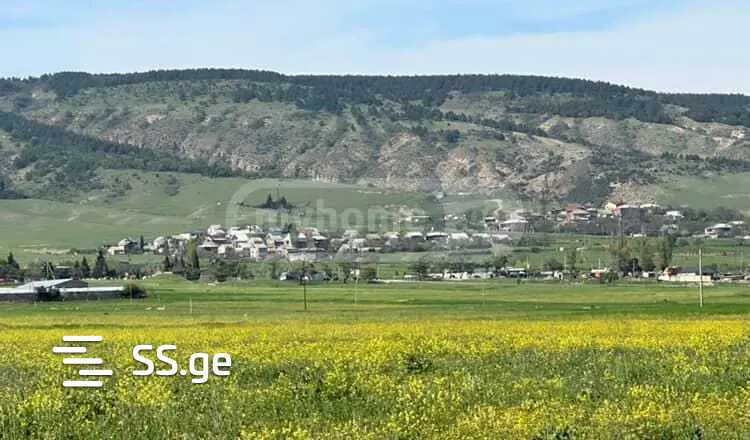 Продажа Земля в гардабани, 1 of 3
