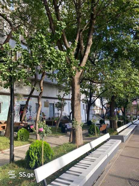 https://static.ss.ge/20260130/6_711b78d6-9963-468d-b750-bcd2ce373265_Thumb.jpg