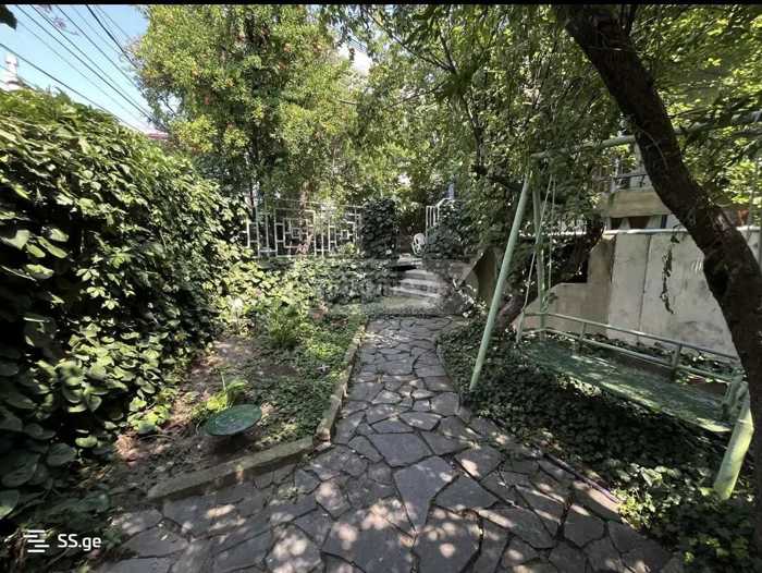 https://static.ss.ge/20260130/7_fbe778c5-9a3c-4e17-9eec-336d4761ab28_Thumb.jpg