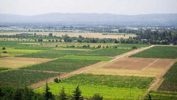 Land For Sale. Tetritskaro