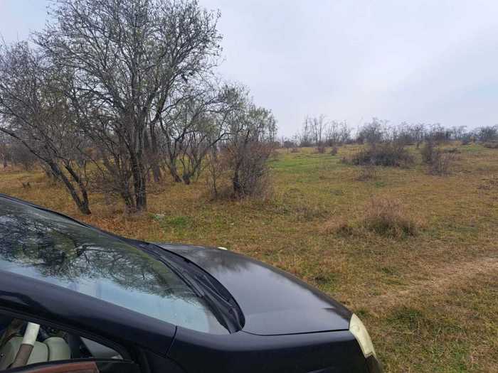 Land For Sale. Norio