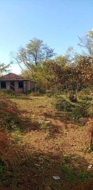 Land For Sale. Tsalenjikha
