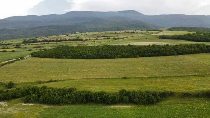 Land For Sale. Ertatsminda