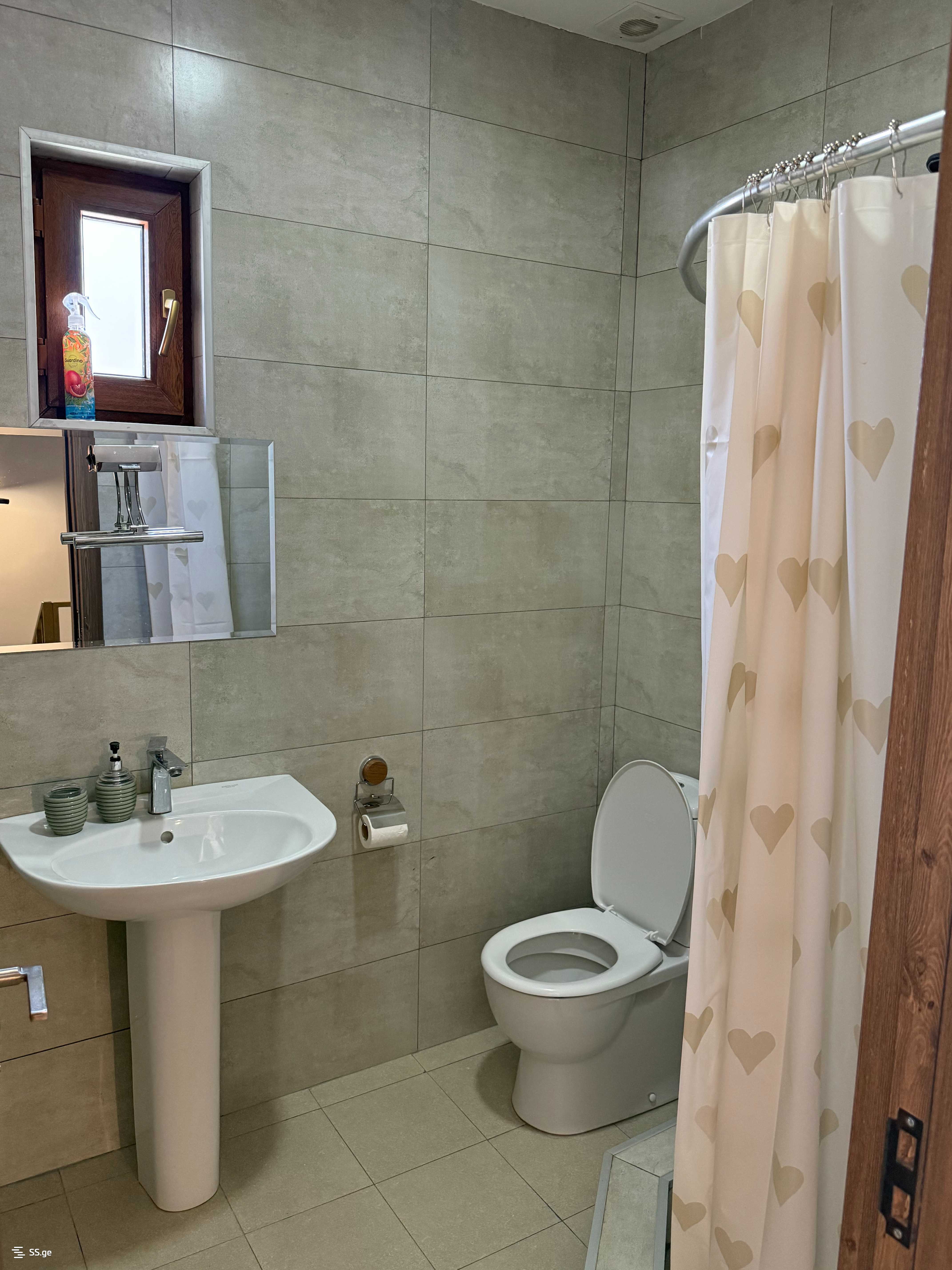 5 Room Private House Daily Rent. Bakuriani view 7