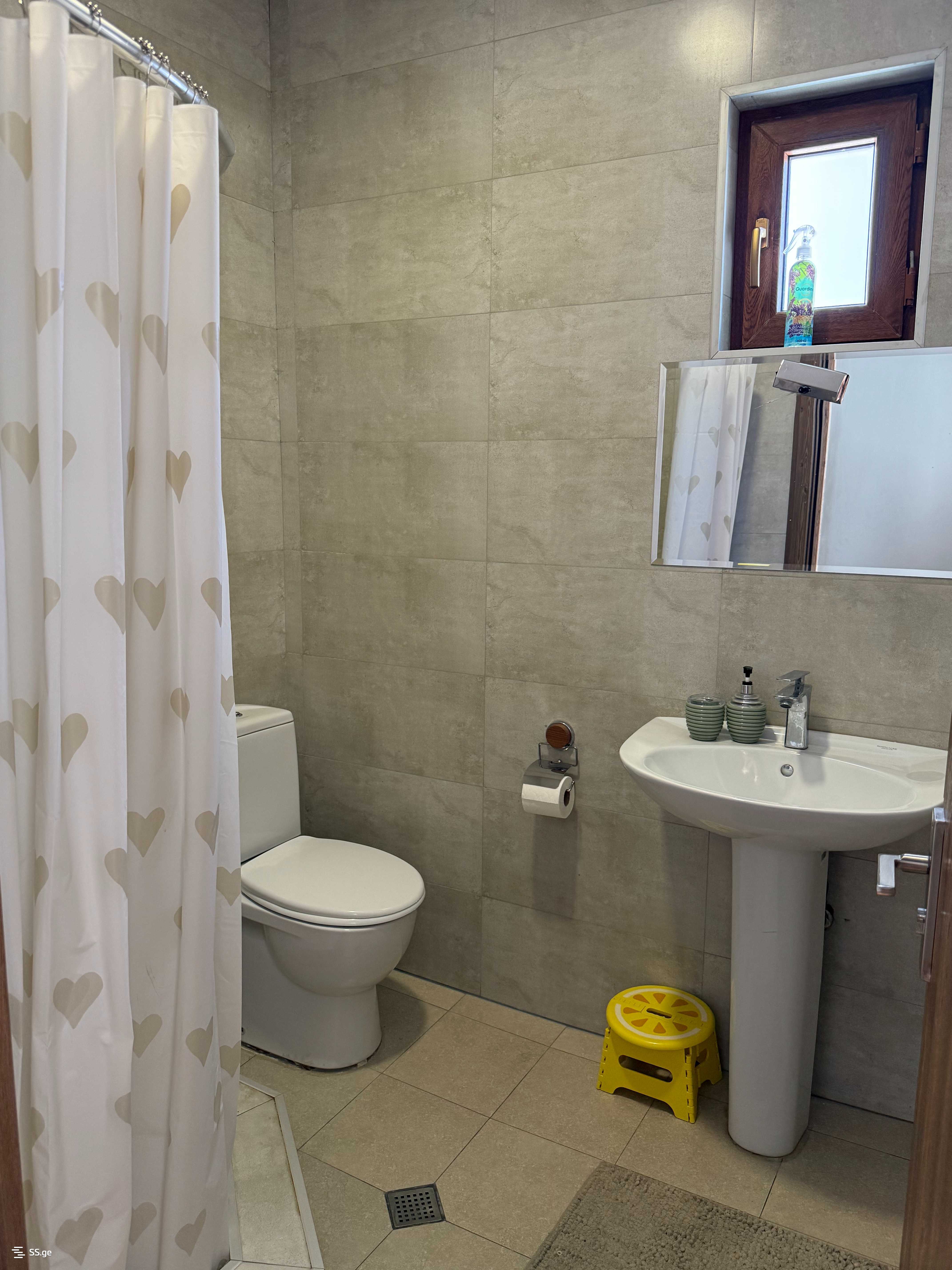 5 Room Private House Daily Rent. Bakuriani view 3
