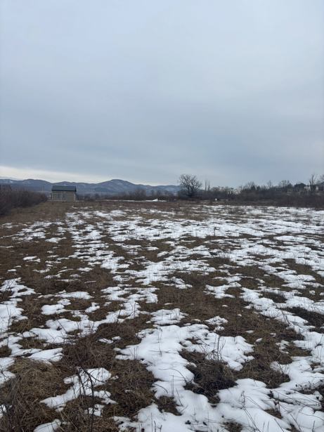 Land For Sale. Saguramo